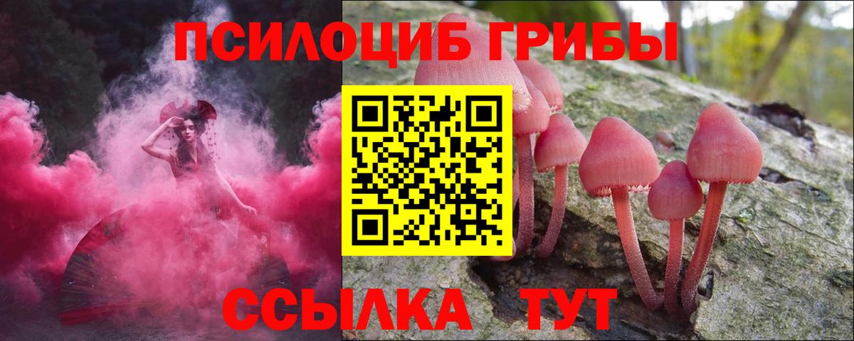 Галлюциногенные грибы Psilocybine cubensis Спасск-Дальний