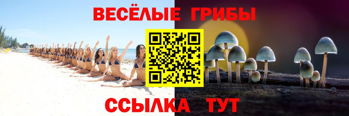 Псилоцибиновые грибы GOLDEN TEACHER  Вход с VPN  Спасск-Дальний 